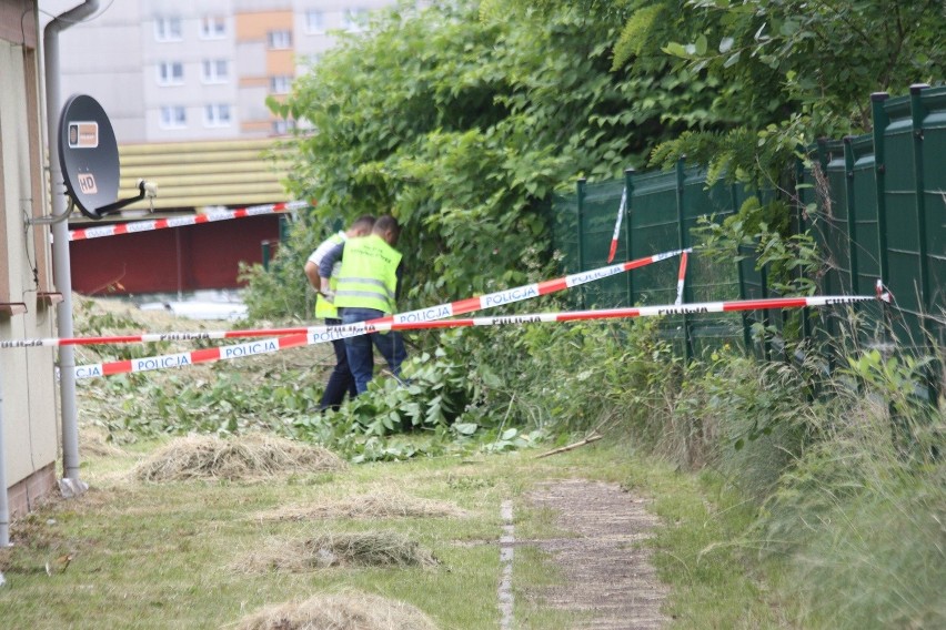 Ulica Wolska w Będzinie. Tu znaleziono zwłoki dziecka