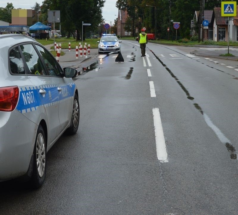 Potrącenie 17-latki na przejściu dla pieszych na al. Wojska Polskiego w Malborku