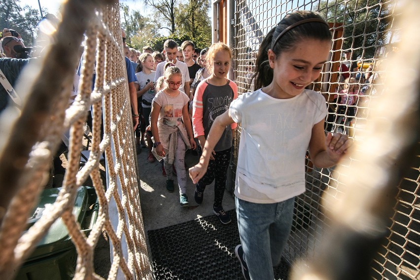 W sobotę 13 października otwarto park linowy w Dolinie...