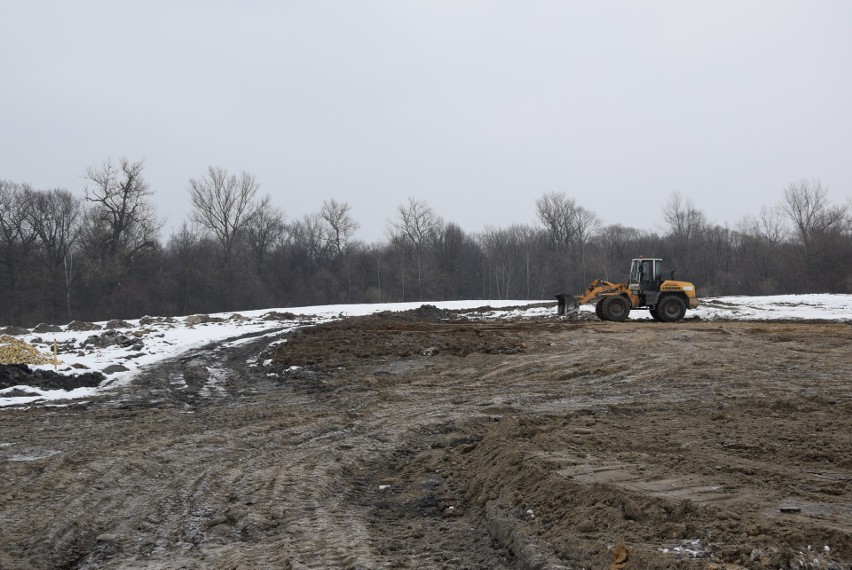 Oświęcim. Na Kamieńcu wycięto piękne drzewa. Tak powstaje Park Pojednania Narodów [ZDJĘCIA, WIZUALIZACJA]