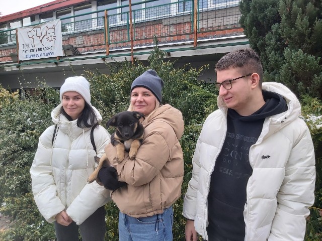 Psy z toruńskiego schroniska trafiły w dobre ręce