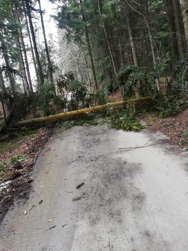 Godzina 14.Powalone drzewo w miejscowości Krużlowa Wyżna...