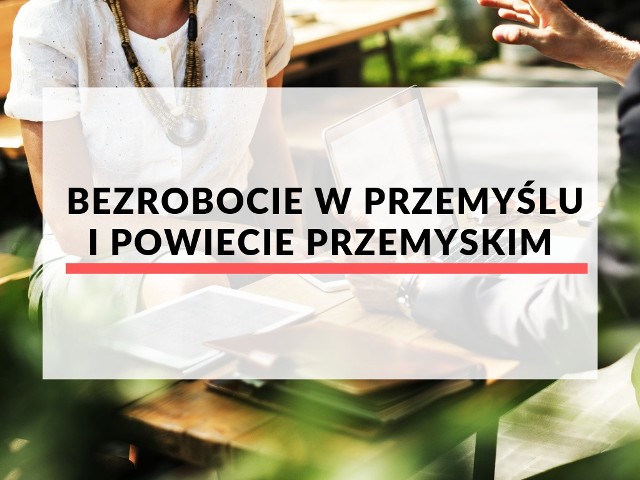 W Przemyślu i powiecie przemyskim w ciągu ostatnich 12 miesięcy spadło bezrobocie. Nadala jednak stopa bezrobocia jest wyższa niż średnia podkarpacka i ogólnopolska.