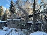 Zamknięty cmentarz główny w Przemyślu! Powodem sporo połamanych przez śnieg drzew [ZDJĘCIA]