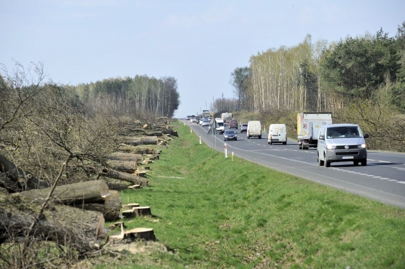 Odcinek Garwolin-Gończyce, okolice miejscowości Potaszniki,...