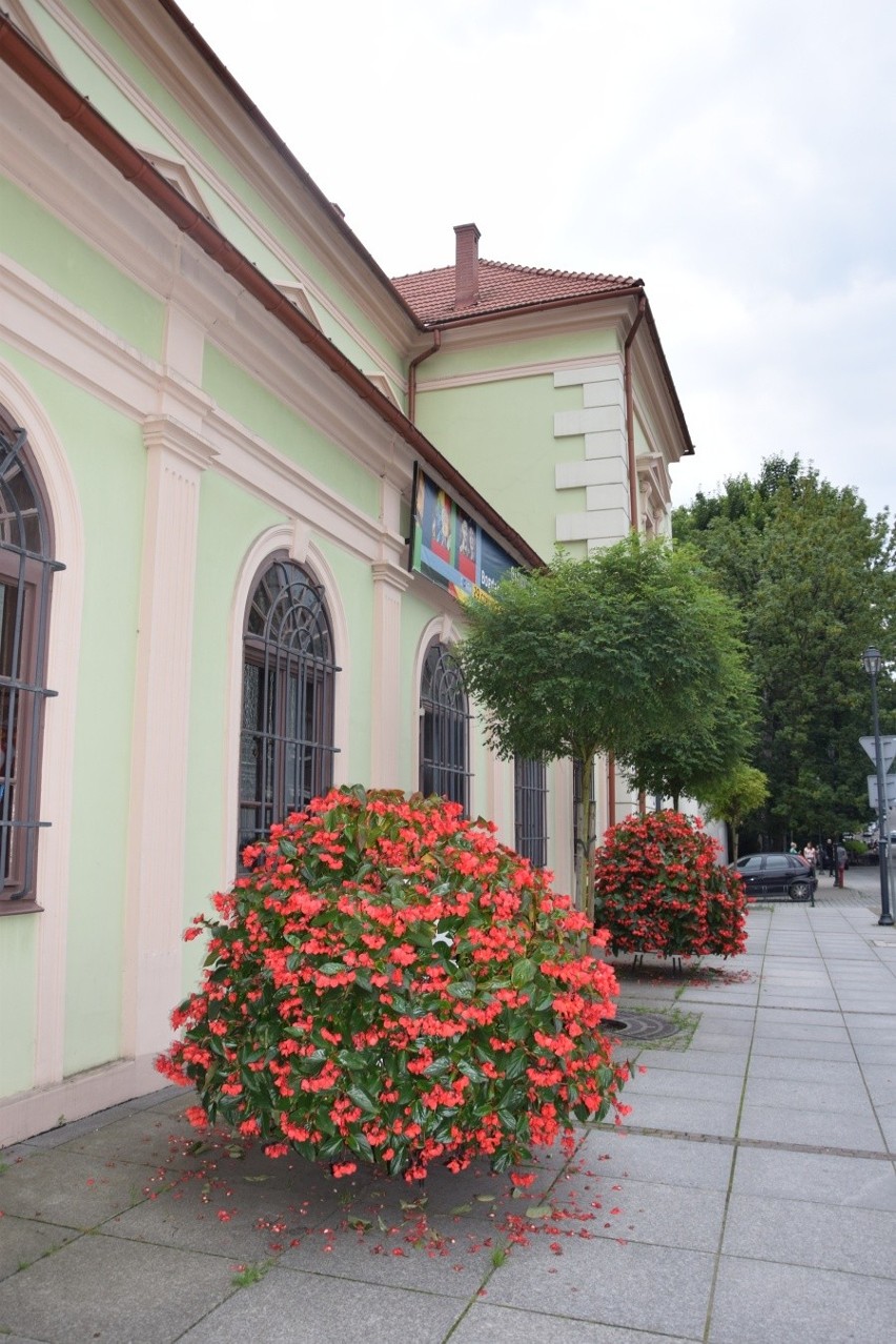 Rynek w Krzeszowicach z "Ojcami Niepodległości". Edukacja na biało-czerwonym szlaku