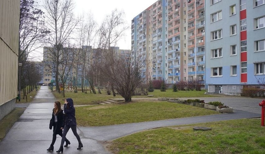 Jakie są najistotniejsze problemy, z którymi borykają się...