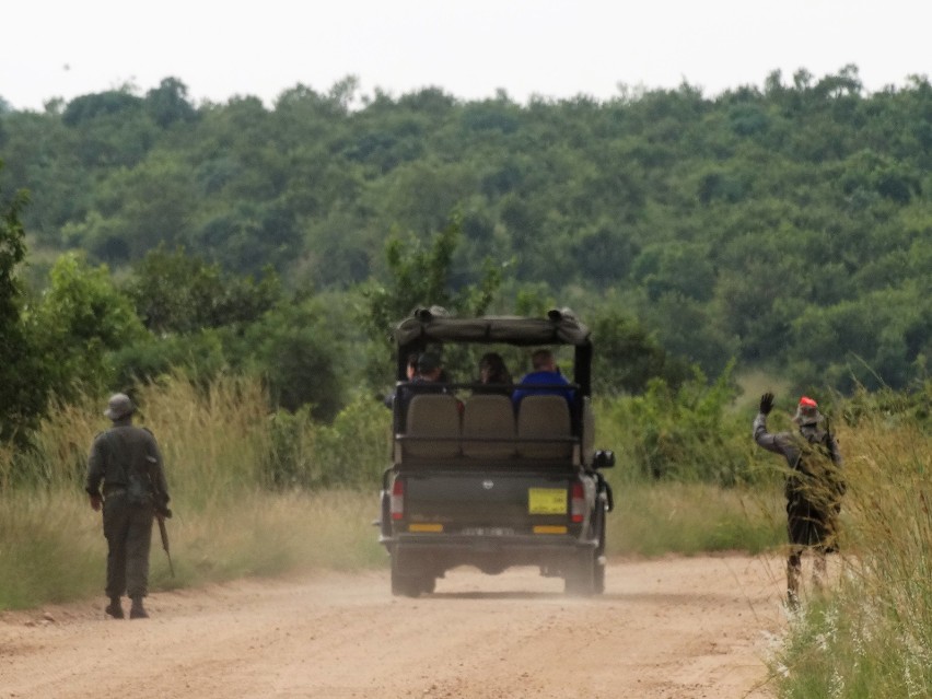 Bydgoszczanin na safari: nie dałem się pożreć lwom