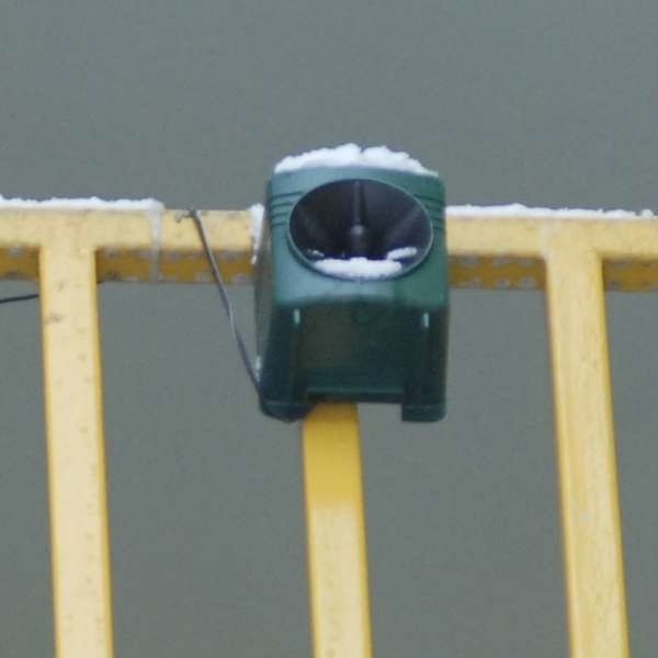 Niepozorne urządzenia, zamiast odstraszać ptaki, przeszkadzają mieszkańcom sąsiednich kamienic.