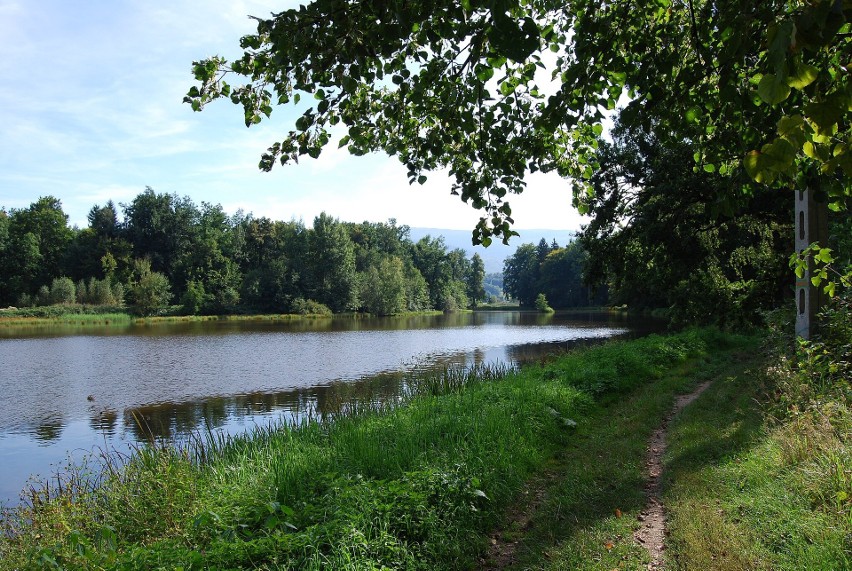Parku Krajobrazowego w Bukowcu idealnie nadaje się na spacer...