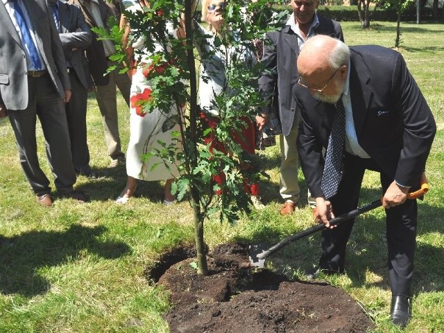 Tak Krzysztof Penderecki posadził... swojego dęba Krzysztofa.