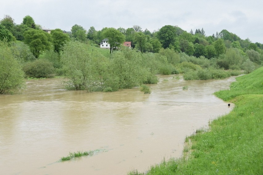 Tuchów. Chaszcze na brzegach Białej wreszcie zostaną wycięte