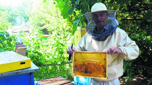 Stanisław Paryło, pszczelarz z Brzeska, dba o pasiekę, którą ma już od blisko 50 lat. Jego pszczoły nigdy jeszcze nie chorowały. Zgnilca amerykańskiego boi się jednak jak ognia