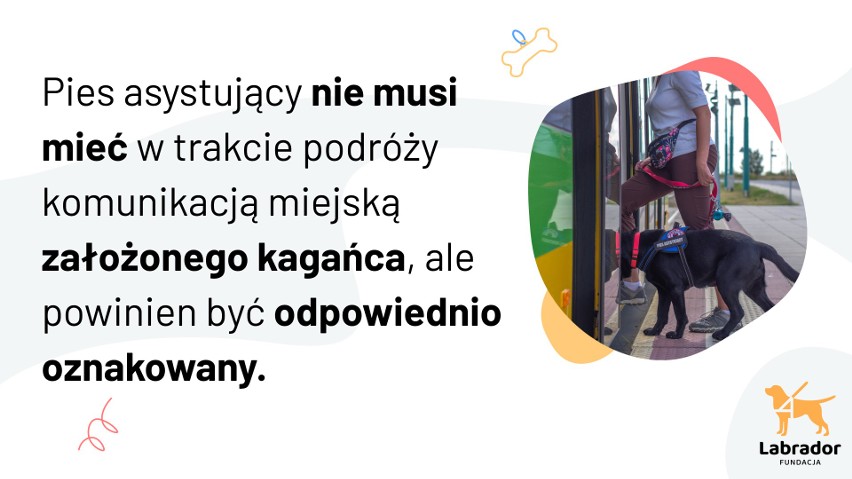 Akcja edukacyjna w MPK Poznań prowadzona przez Fundację na...