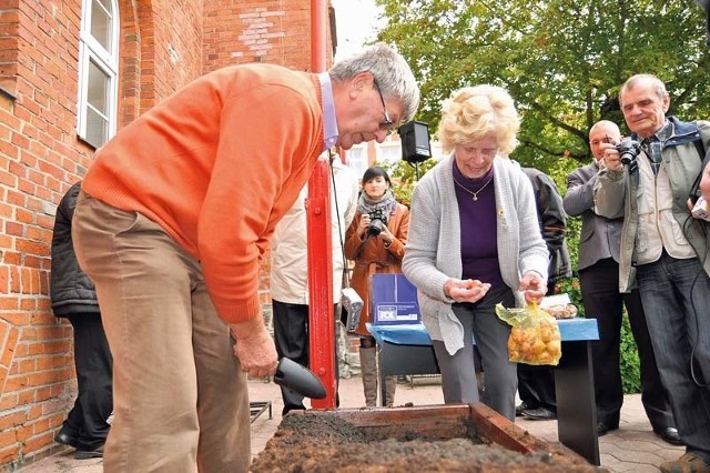 Na odmianę "szczecinek&#8221; gotową do posadzenie trzeba jeszcze poczekać, ale i te posadzone wczoraj tulipany będą piękne. W centrum zdjęcia Corry Elzackers z Bergen op Zoom.