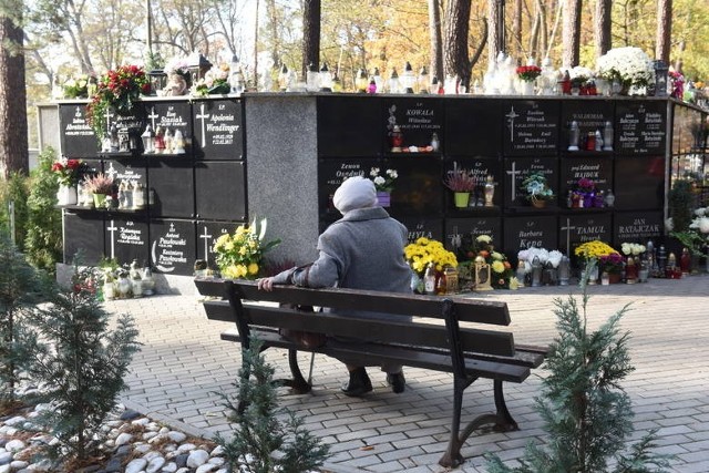 Na starym cmentarzu w Zielonej Górze przy ul. Wrocławskiej przybędzie ławek parkowych