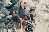 Opowieści z Narnii: Lew, czarownica i stara szafa - film, recenzja, opinie, ocena
