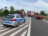 Wypadek na drodze krajowej nr 77 w Zadąbrowiu. Toyota zderzyła się z oplem [ZDJĘCIA]