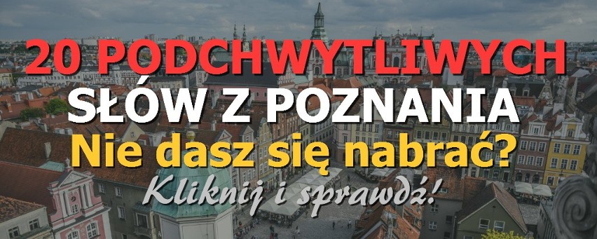 Poznań: Zwłoki mężczyzny wyłowiono z Warty    