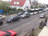 Autobus potrącił pieszego na Gumieńcach