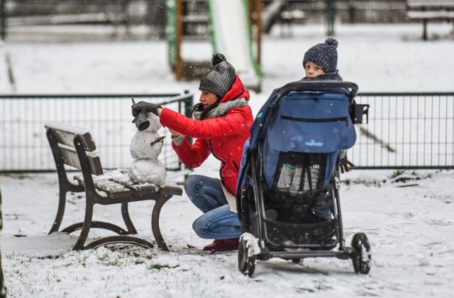 Śnieg w Bydgoszczy i regionie padał już od samego rana. Ulice, chodniki, parki i osiedla zrobiły się białe. Zobaczcie, jak wyglądała Bydgoszcz po pierwszym śniegu tej zimy.Zobaczcie zdjęcia Bydgoszczy po pierwszym śniegu tej zimy >>>LICZ SIĘ ZE ŚWIĘTAMI - MIKOŁAJ DO WYNAJĘCIA.