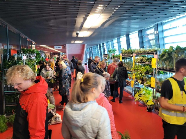 Trwa jesienna edycja Festiwalu Roślin w Białymstoku.