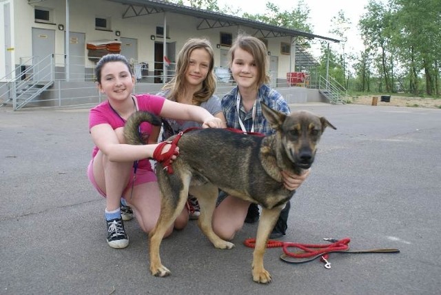 Kornelia Krakowska, Małgosia Perucka i Ewelina Nowicka opiekują się psami w schronisku. Ich pupilem jest Chrupek bez łapy. Ich klasa opiekuje się tym psem wirtualnie.