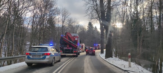 Wypadek na drodze 206 koło Polanowa. Osobówka uderzyła w drzewo