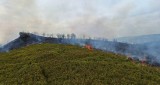 Strażacy gaszą ogień, który trawi połoniny na terenie Bieszczadzkiego Parku Narodowego