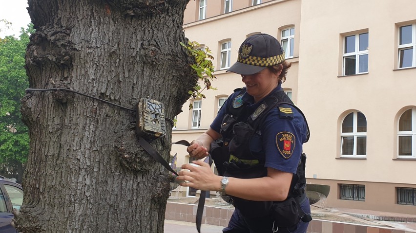 Od początku roku łódzka straż miejska wystawiła 20 mandatów...