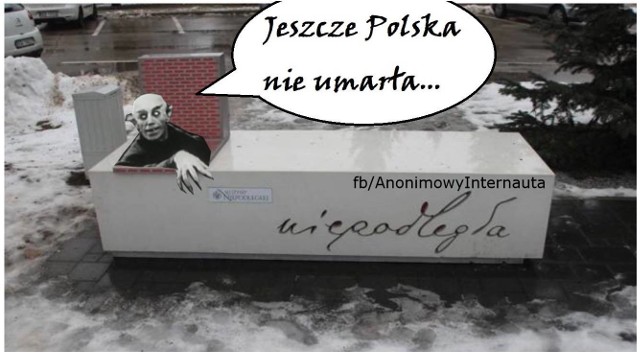 Ławka niepodległości MON wzbudza śmiech internautów MEMY. 4 mln złotych  wydane na "estetyczny dramat"? To "trumna niepodegłości" | Dziennik Zachodni