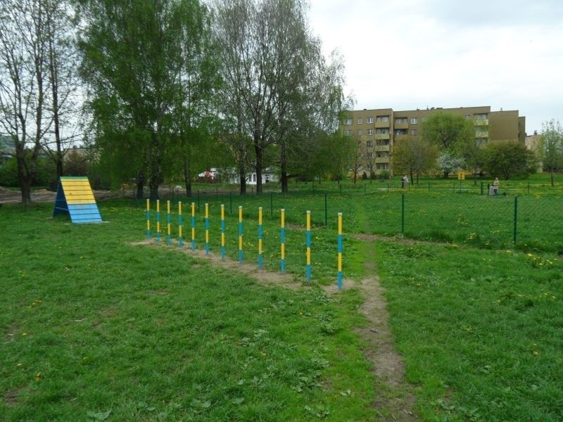 Park dla psów w Pszczynie