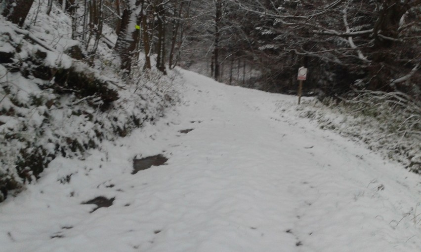 Pod Leskowcem dziś biało. Pierwszy śnieg w powiecie