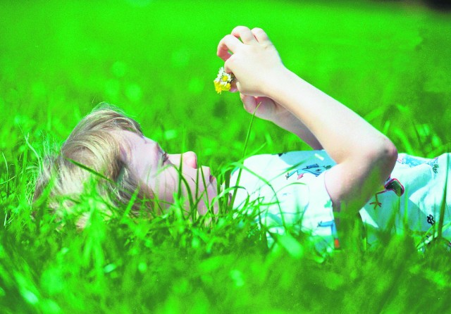 Coraz więcej dzieci w województwie śląskim cierpi na rozmaite choroby alergiczne, głównie na dychawicę (astmę) oskrzelową. Na drugim miejscu są zniekształcenia kręgosłupa
