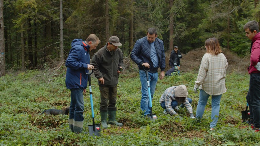 Pracownicy Grupy PBI w ramach społecznej akcji posadzili 28...