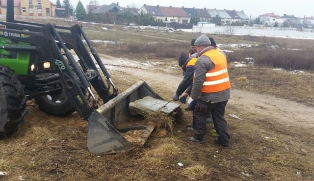 Docelowo właśnie w tym miejscu ma powstać park linowy.