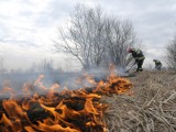Gigantyczny pożar traw w Bydgoszczy - ogień przy ulicy Inwalidów gasili strażacy trzech jednostek