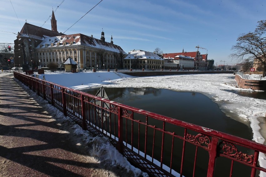 Topniejący lód na Odrze