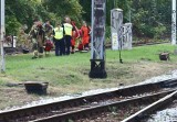 Śmiertelny wypadek na torach przy wrocławskim dworcu. Ustalono tożsamość zmarłego mężczyzny