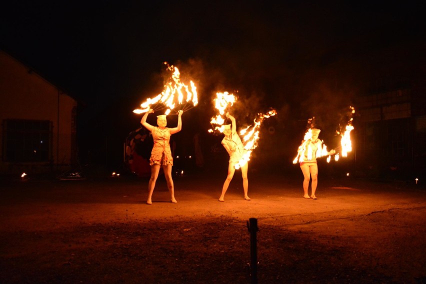 Dębowy Maj Festiwal trwa w Dąbrowie Górniczej