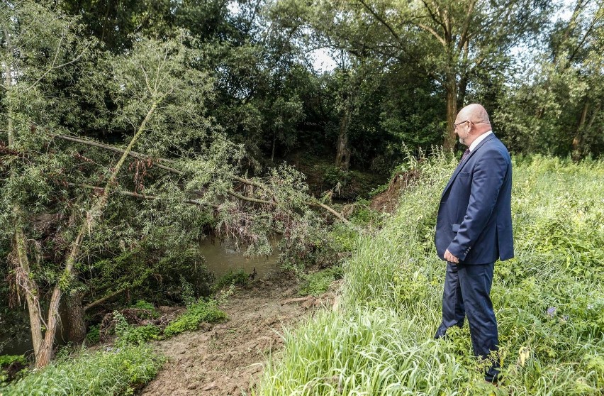 Razem z wiceprezydentem Andrzejem Gutkowskim przyjrzeliśmy...