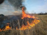 Pożar lasu i nieużytków w Porębach Furmańskich. Strażacy ratowali 60 hektarów młodnika