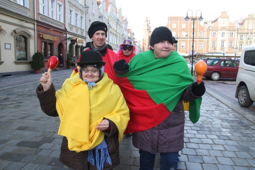 Festyn fundacji Jednorogów na opolskim Rynku.