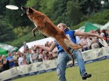 Dog Chow Disc Cup 2012 w Chorzowie, czyli latające psy [WIDEO]