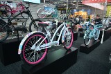 Bike Expo Kielce 2016. Bajkowe targi na dwóch kółkach