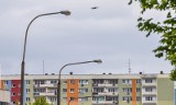 Spółdzielnie mieszkaniowe w Bydgoszczy nie rezygnują z walki o oświetlenie. Chcą uzasadnienia wyroku Wojewódzkiego Sądu Administracyjnego