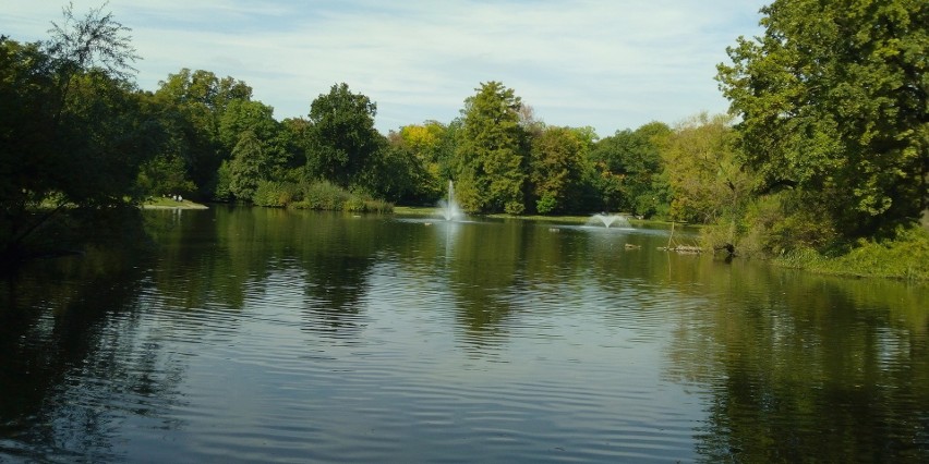 Zdjęcie wykonane Neffosem C9A w trybie panoramicznym - jest...