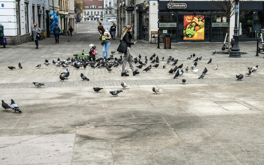 Tak prezentowała się płyta Starego Rynku w 2021 roku. Od...