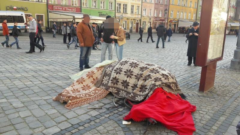 Na wrocławskim Rynku padł koń