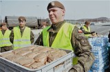 Terytorialsi w związku z koronawirusem dostarczają żywność, leki i pomagają starszym